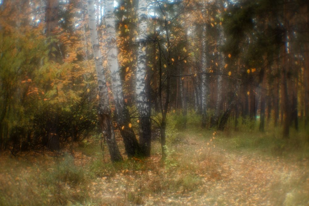 Photograph by Татьяна Овчинникова