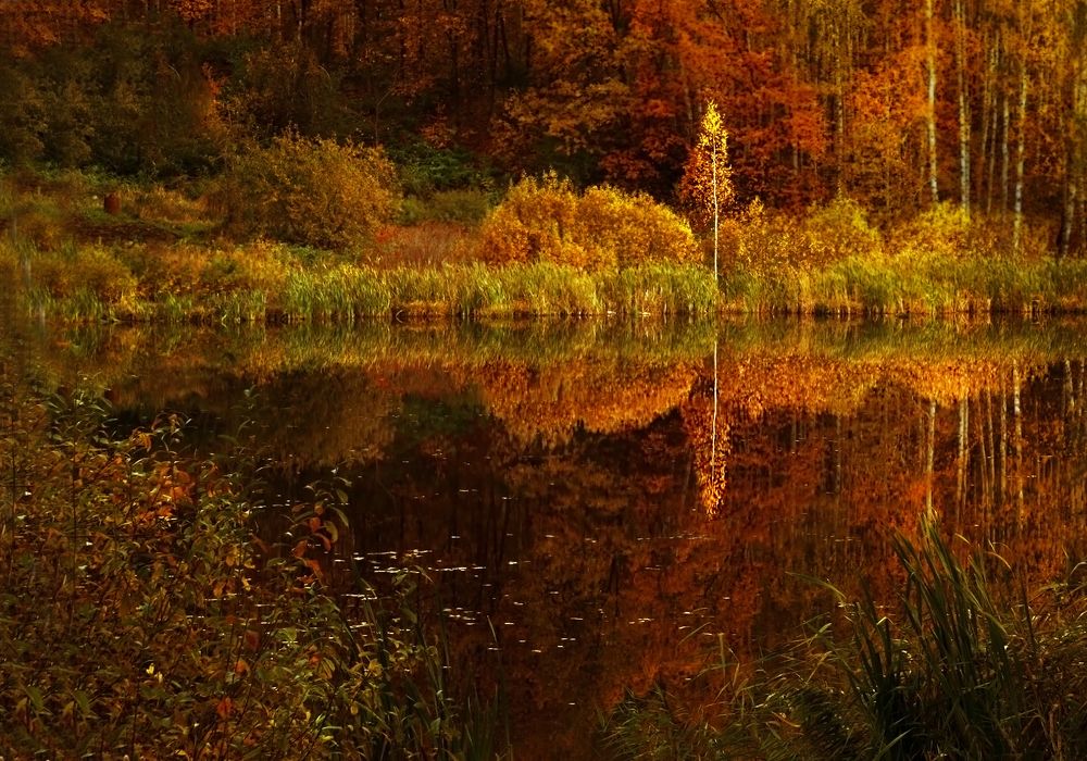 Photograph by Заболотская Ольга