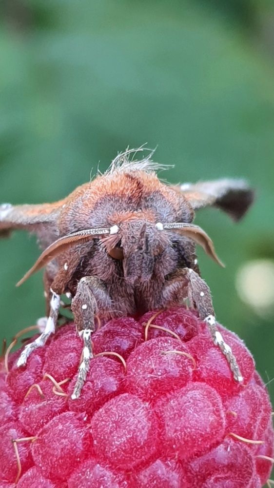 Photograph by Виктория Образцова