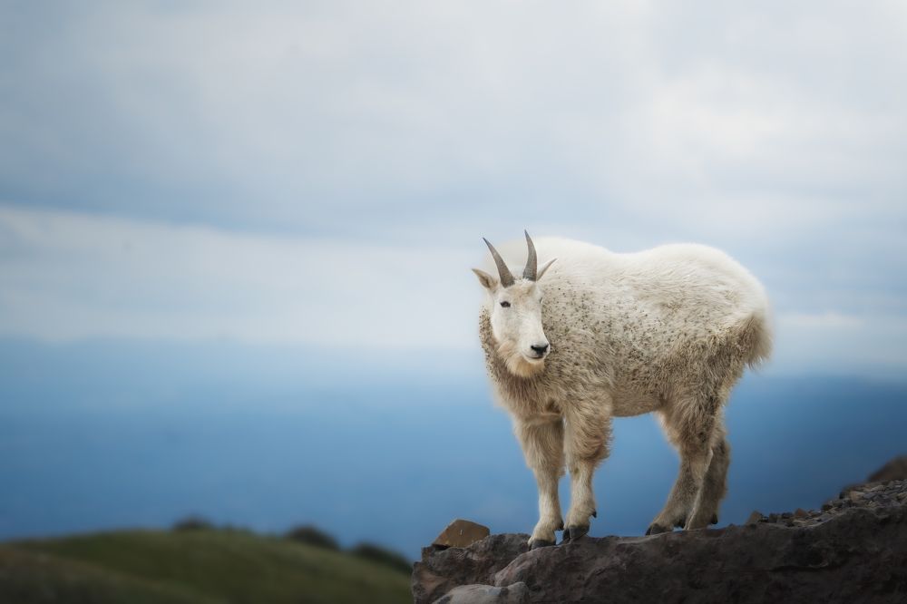 Photograph by Victoria Harris