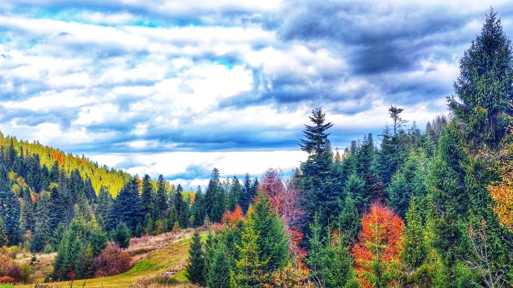 Photograph by Екатерина