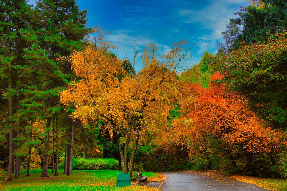 Photograph by Valentin Kayudin