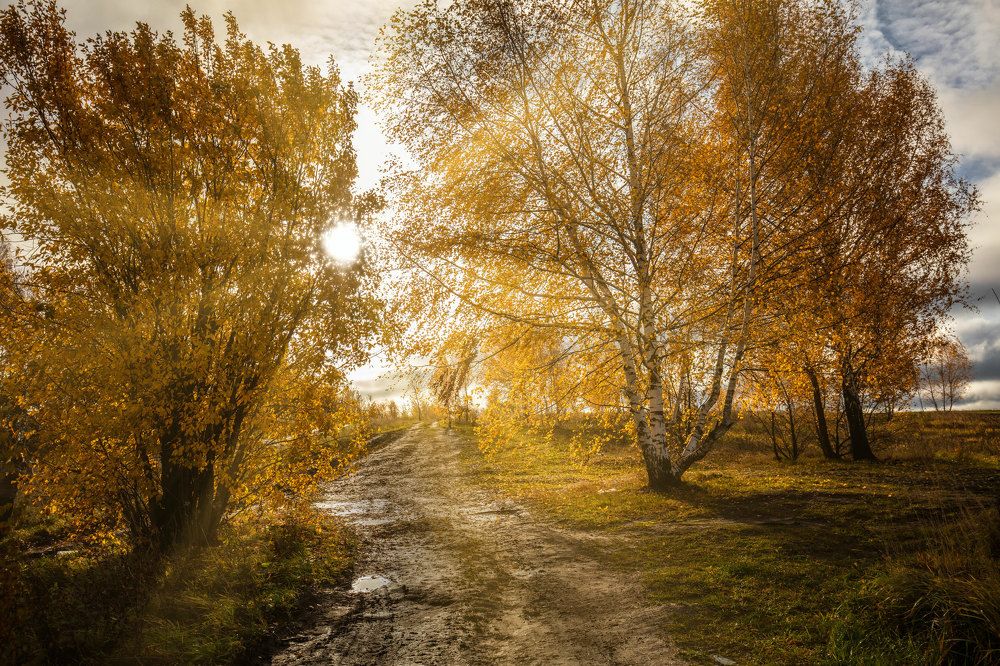 Photograph by Valius Photo