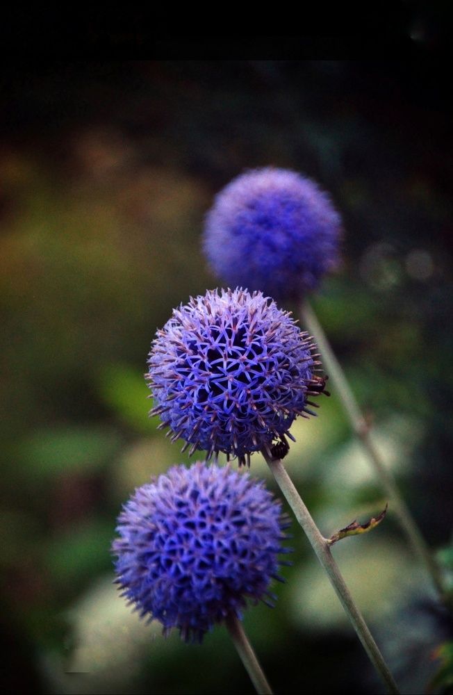 Photograph by Ирина Родионова