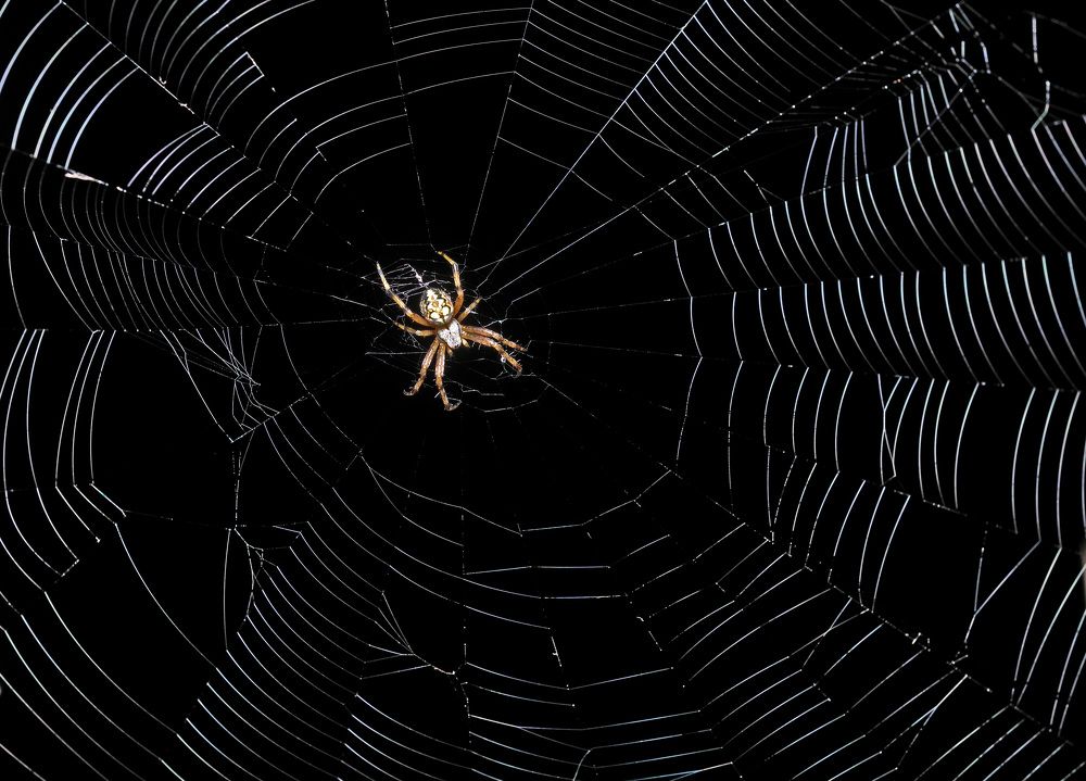 Photograph by Bekir Yesiltas