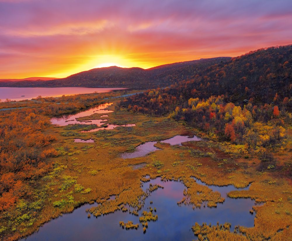 Photograph by Gureva Elena