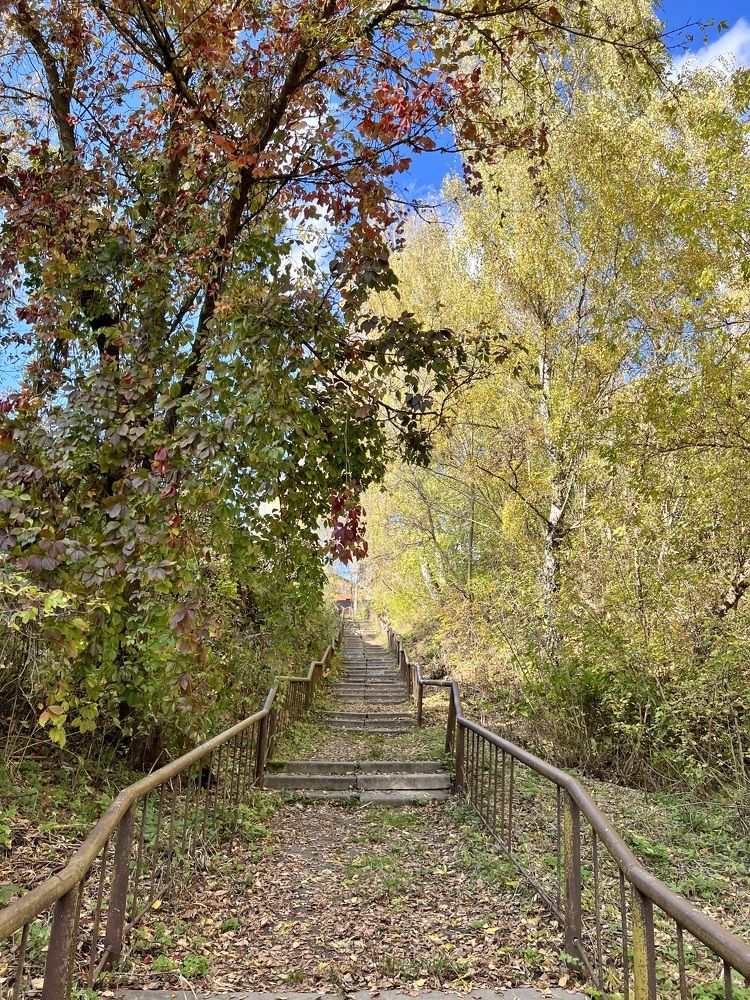 Photograph by Анна Лепихина