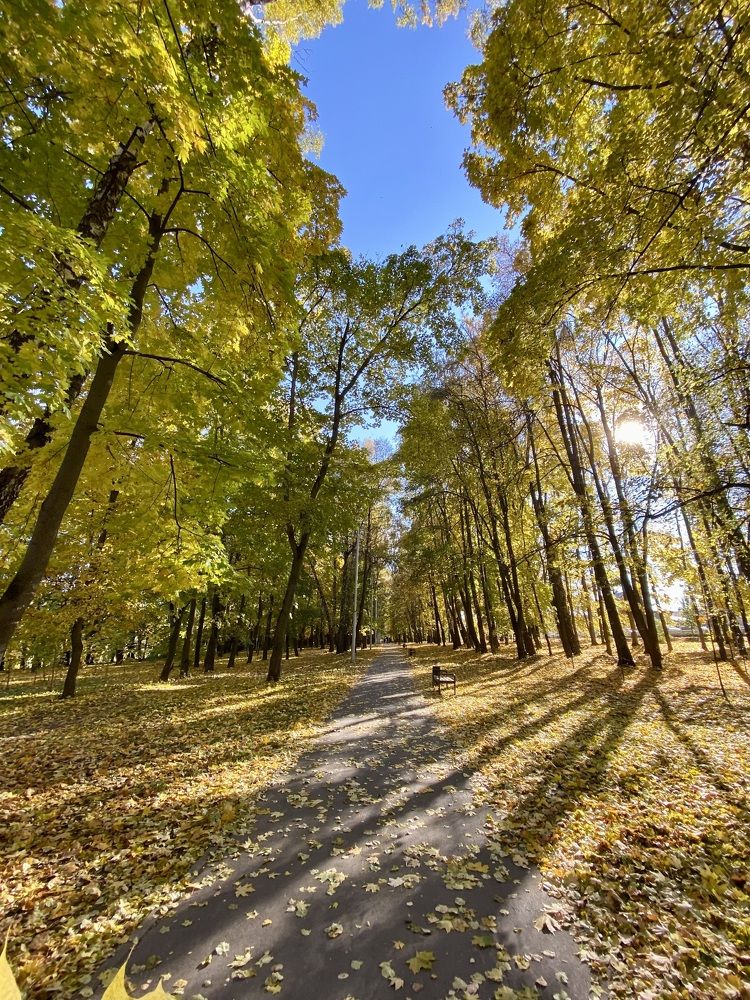 Photograph by Анна Лепихина