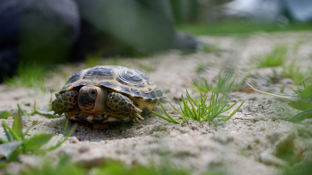 Photograph by Алексей Миронов