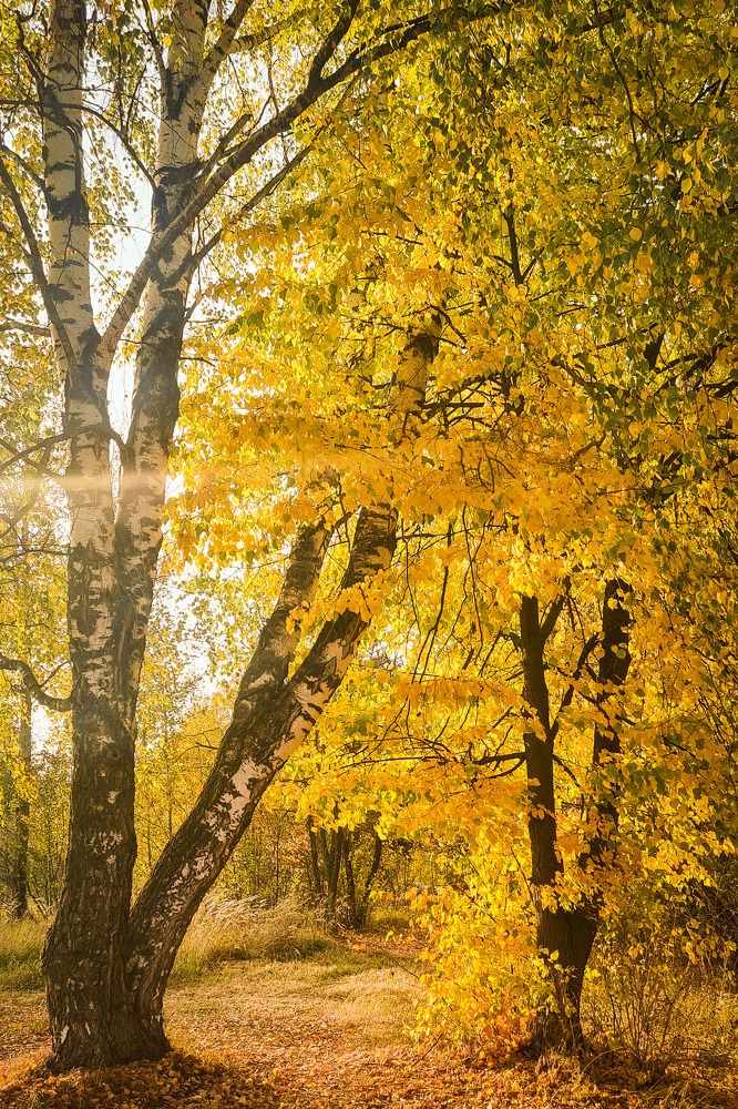 Photograph by Елена Квасова