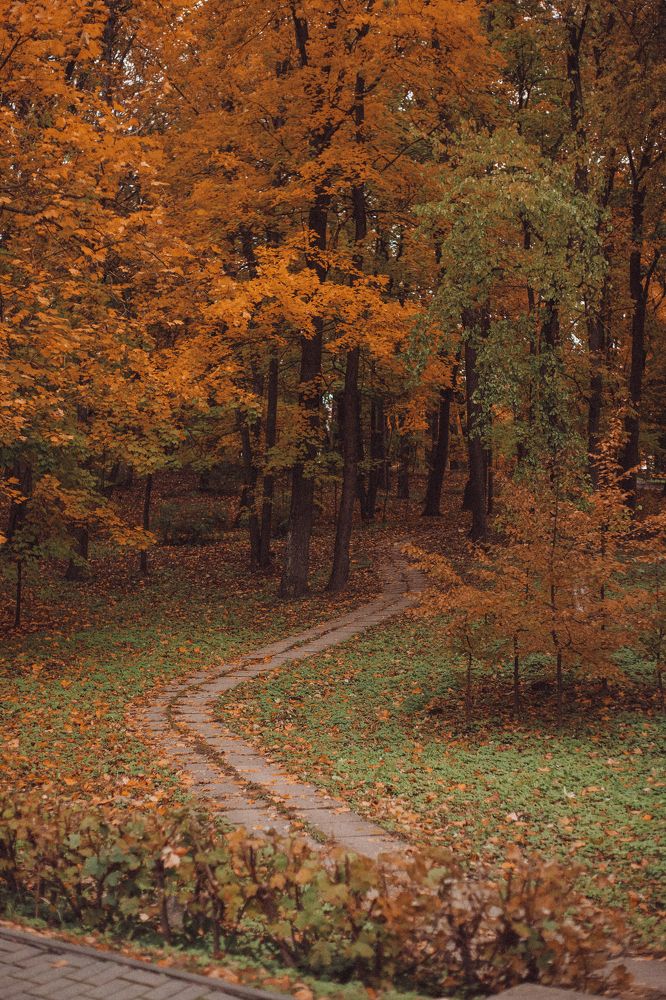 Фотография автора Светлана Сергеевна