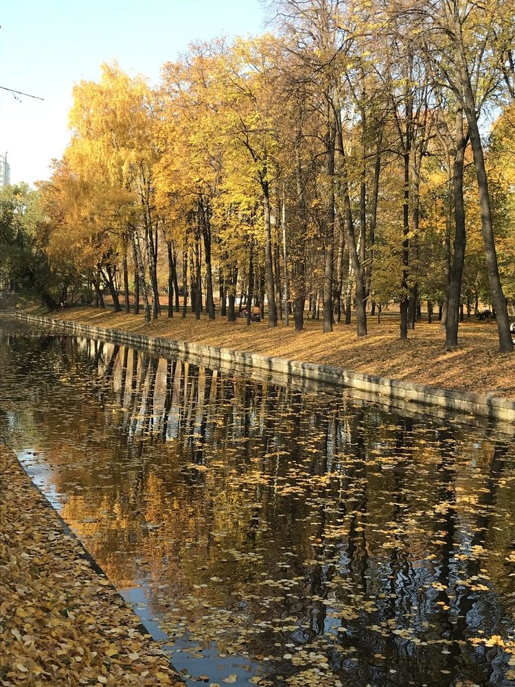 Photograph by Катерина