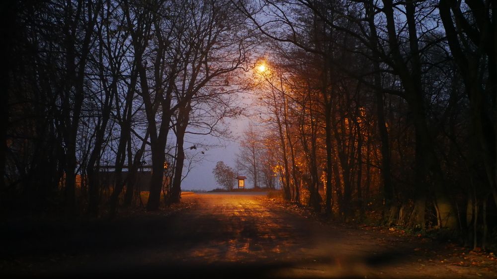 Photograph by Elizaveta Alatyrtseva