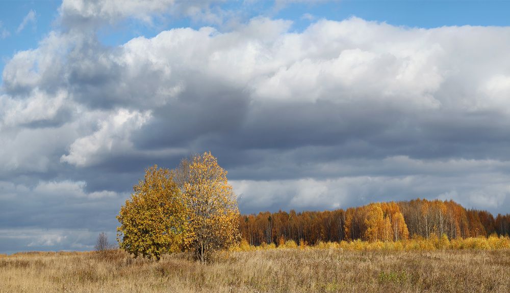 Photograph by Олег Фокин