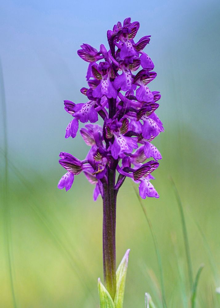 Photograph by Евгений Гонтов