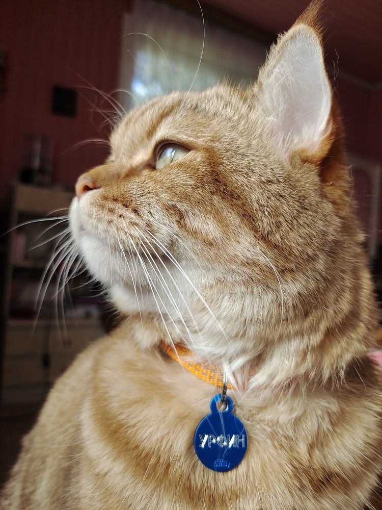 Photo #9722687