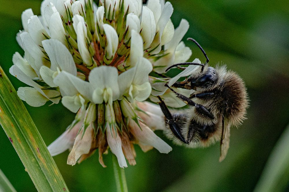 Фотография автора Николай Бологов