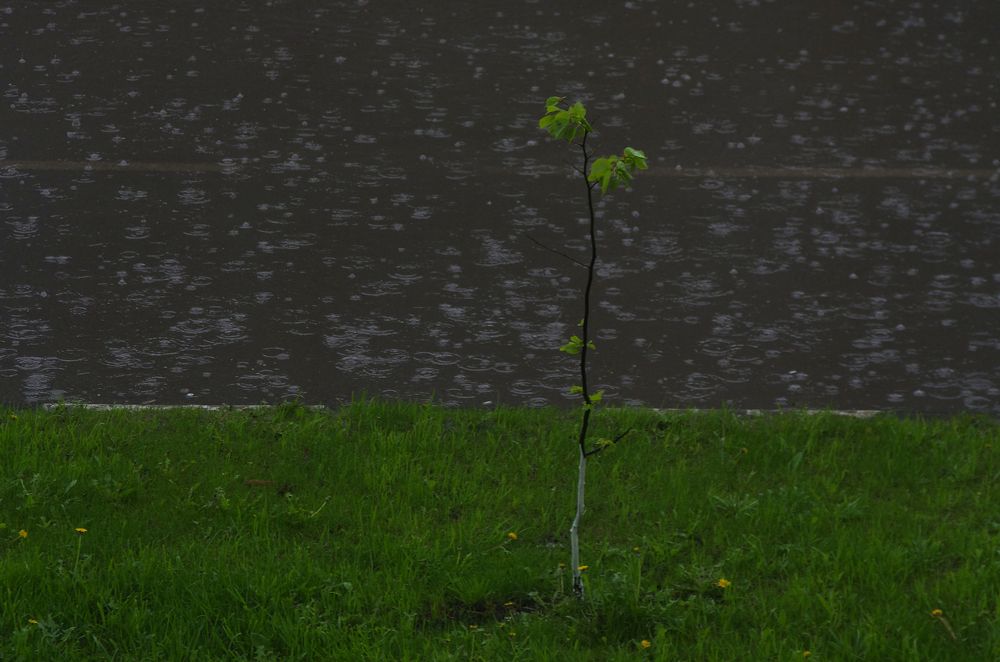 Photograph by Александр Кравченко