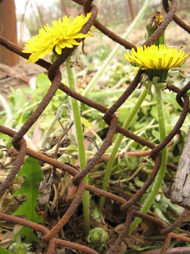 Photograph by Ольга