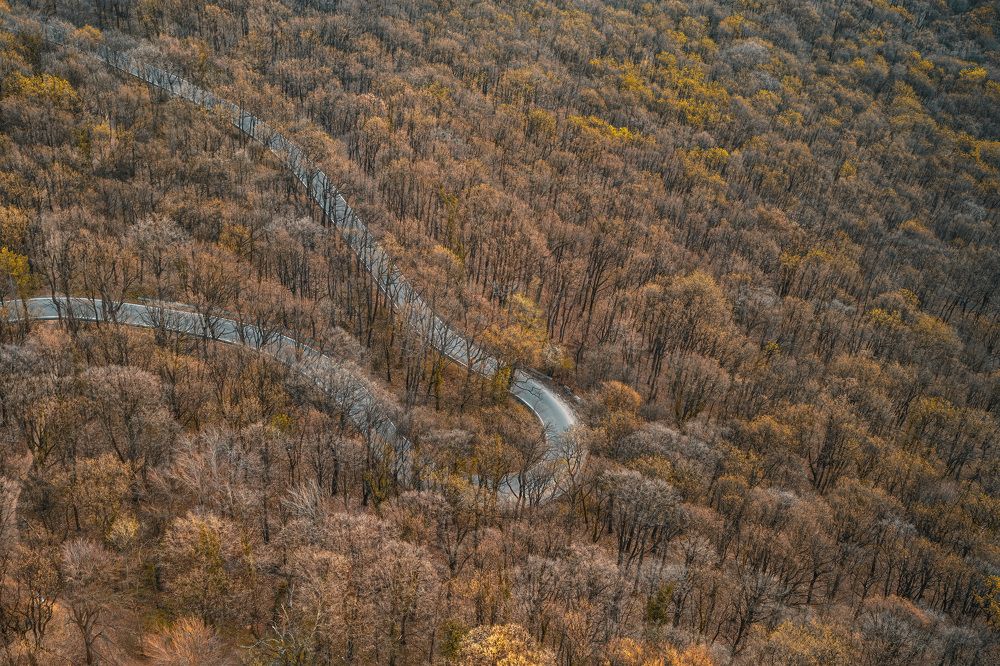 Photograph by Максим Кукурунд