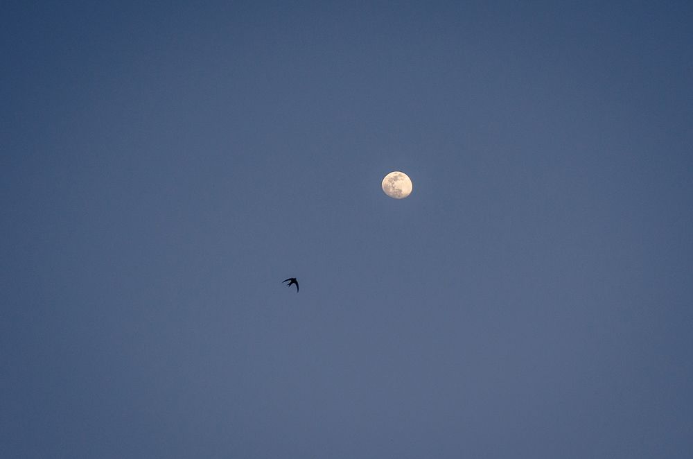 Photograph by Sahar Jafari