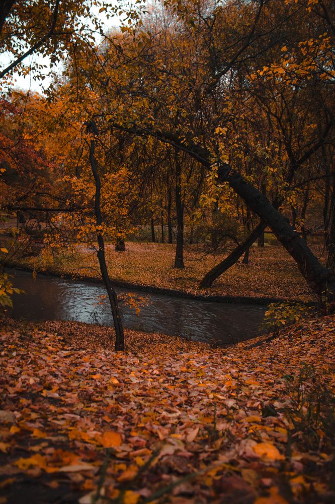 Photograph by Сергей Антонов