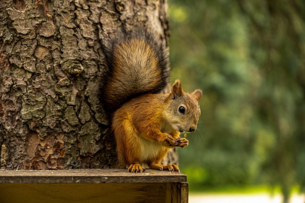 Photograph by Наталья Жигелис