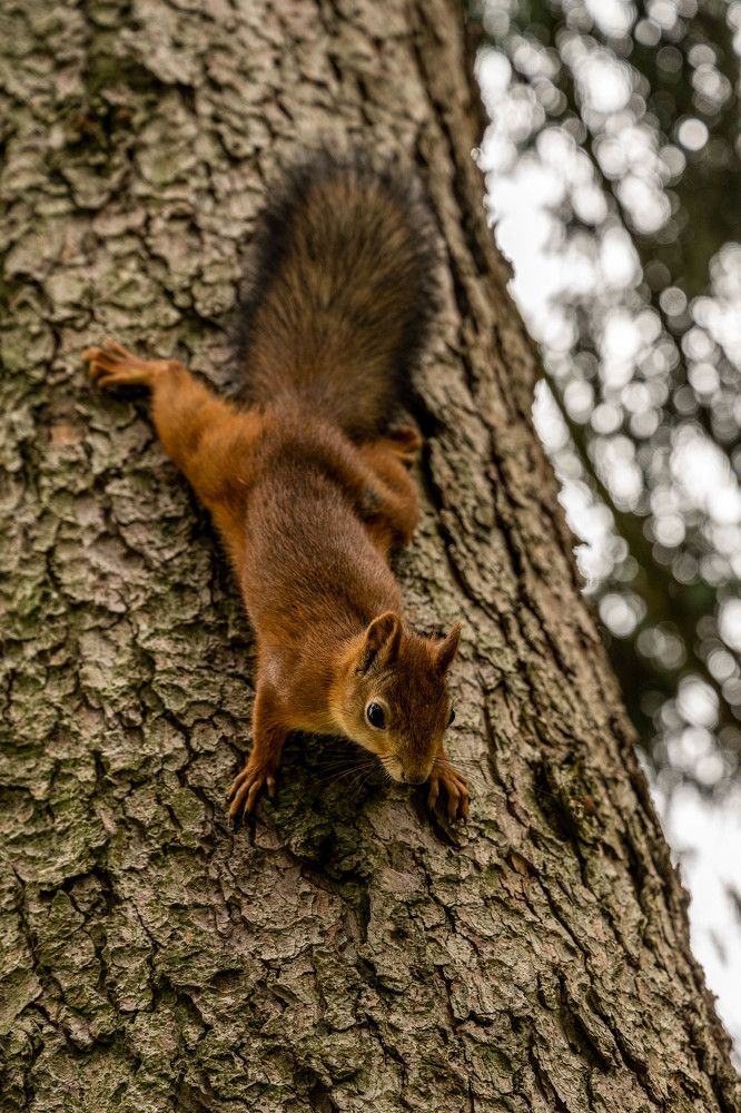 Photograph by Наталья Жигелис