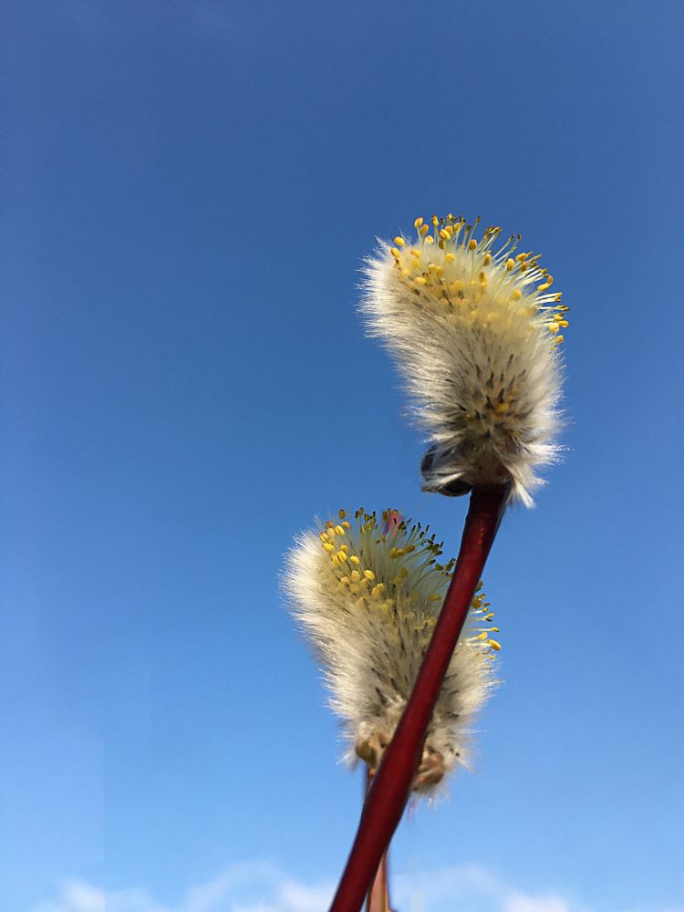 Photograph by Татьяна Захарова