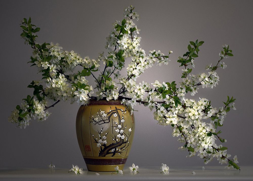 Фотография автора Заболотская Ольга