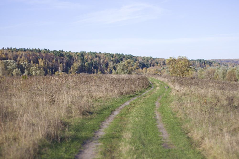 Photograph by Елена Иванова