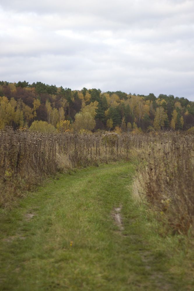 Photograph by Елена Иванова