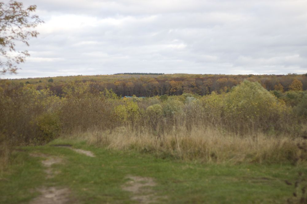 Photograph by Елена Иванова