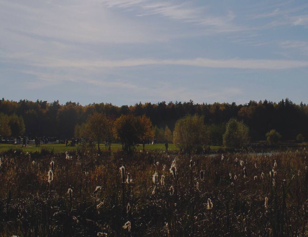 Photograph by Яна Цицилашвили