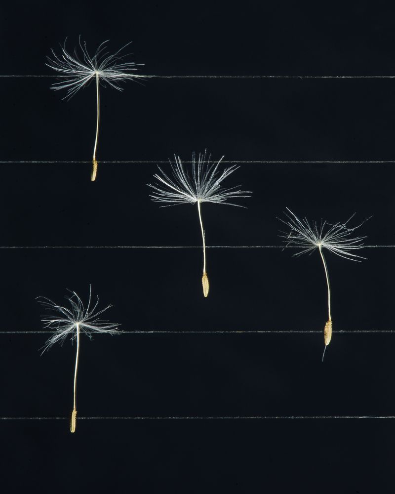 Фотография автора Ольга Афанасенко