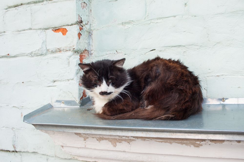 Photograph by Елена Шахова