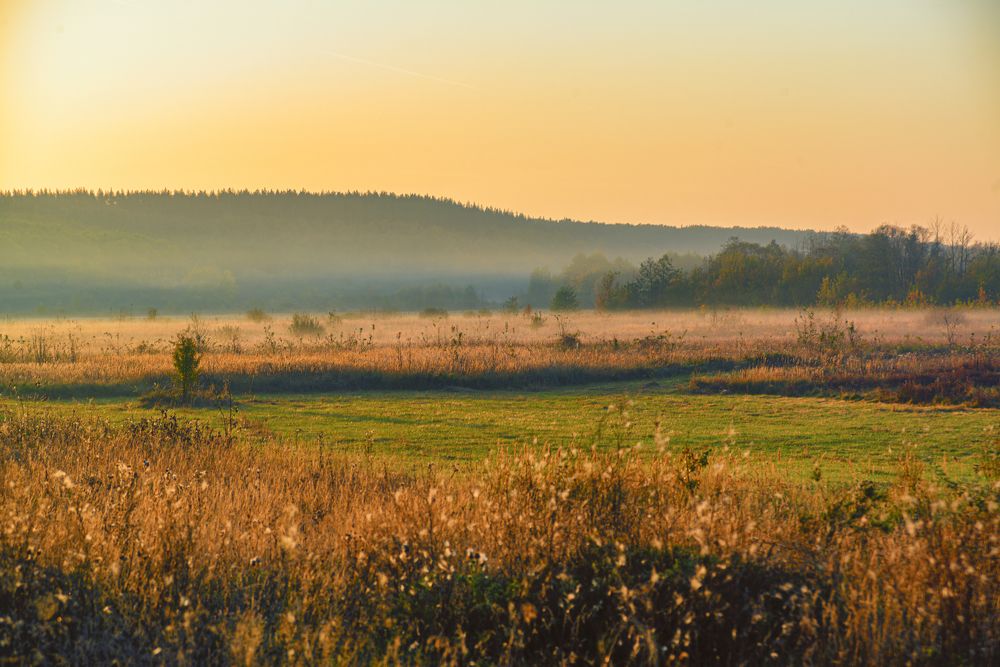 Photograph by Иван Курятников