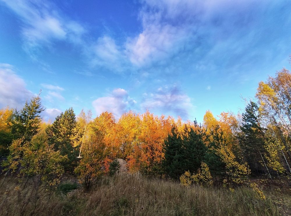 Краски - серверной осени!