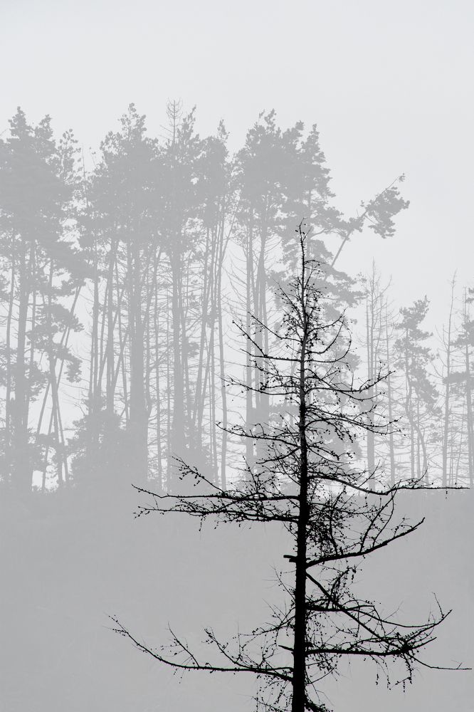 Photograph by Elena Papadopoulou