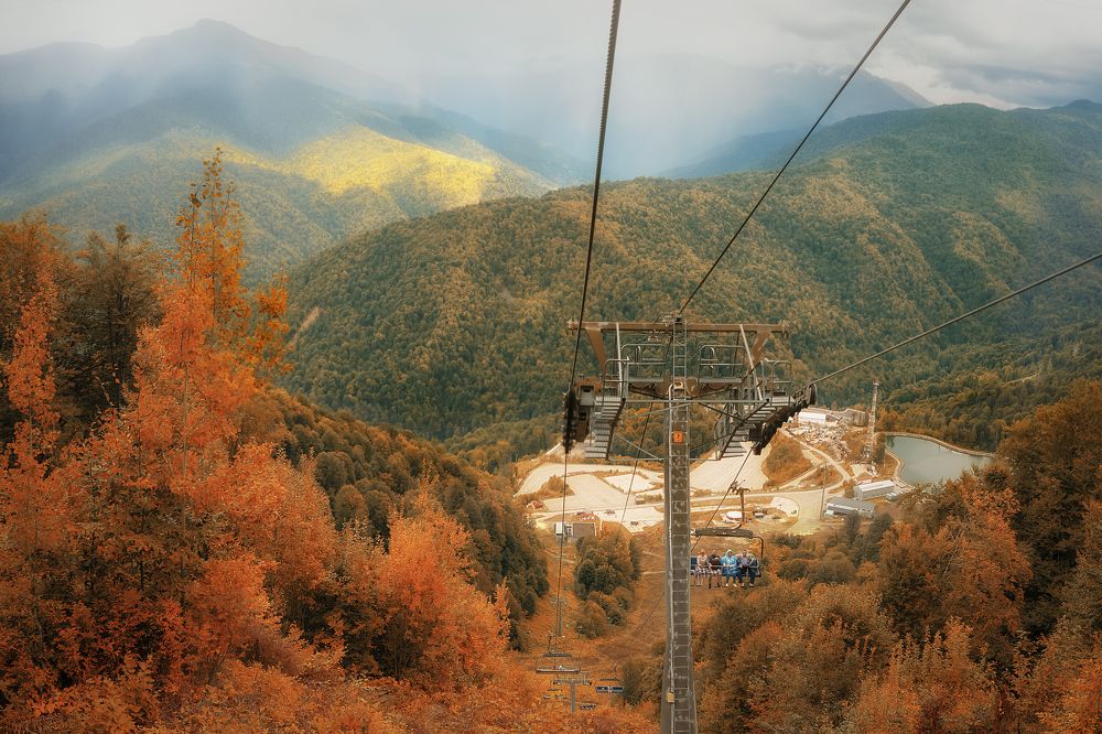 Фотография автора Виктория Шаманова