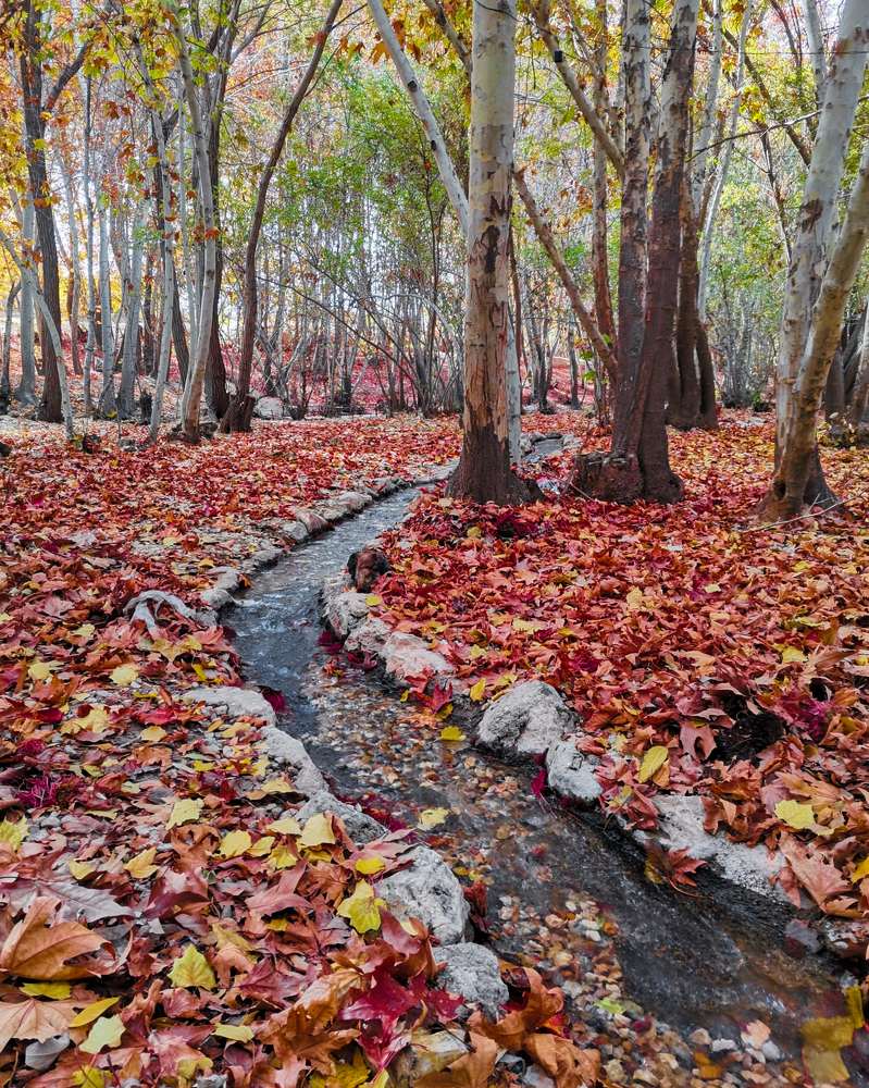 Photograph by Hossein Sadeghi