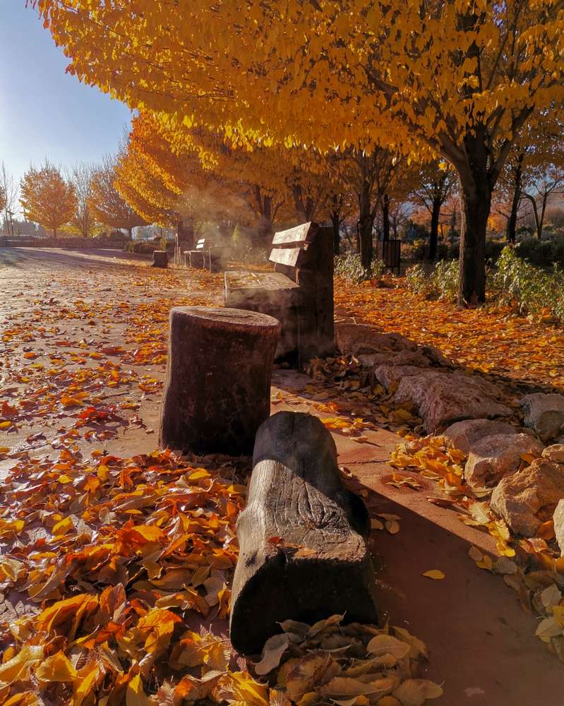 Photograph by Hossein Sadeghi