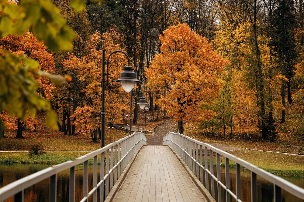 Photograph by Светлана Захаренкова