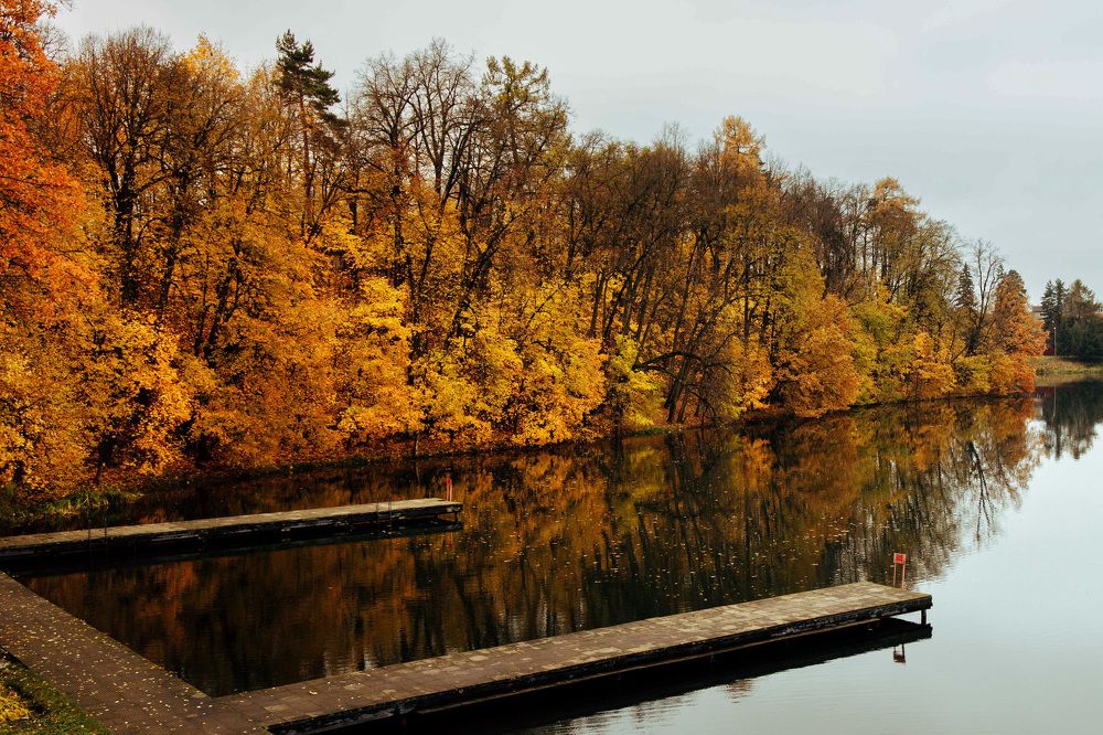 Photograph by Светлана Захаренкова