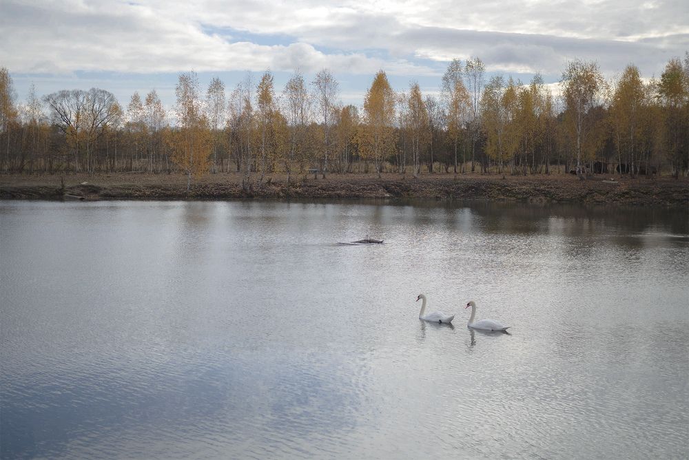 Photograph by Evgeniy Prokoptsov