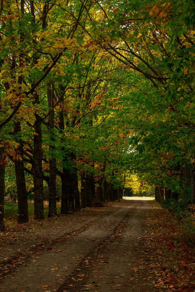 Photograph by Елизавета Можельская