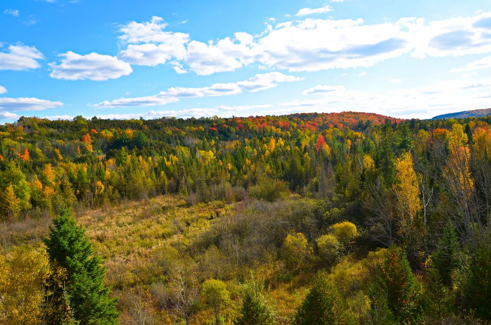 Photograph by Ken Oliver