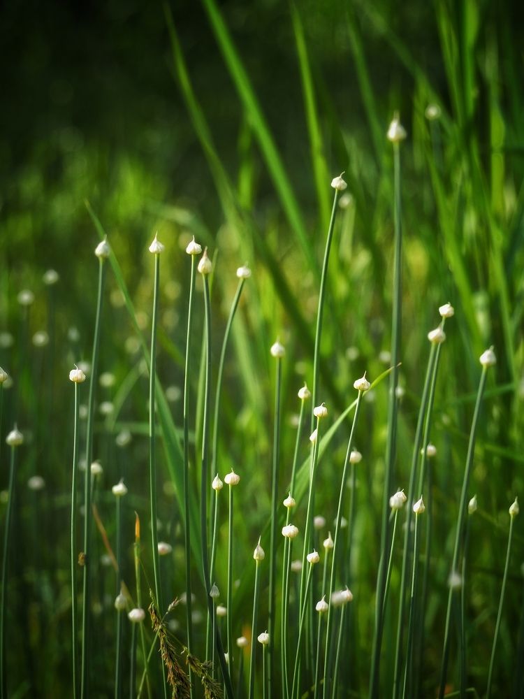 Photograph by Сергей Пермин