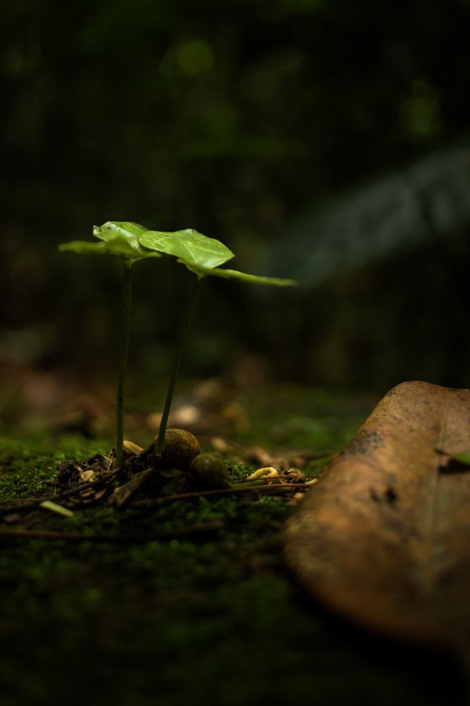 Photograph by Marcos Emanuel