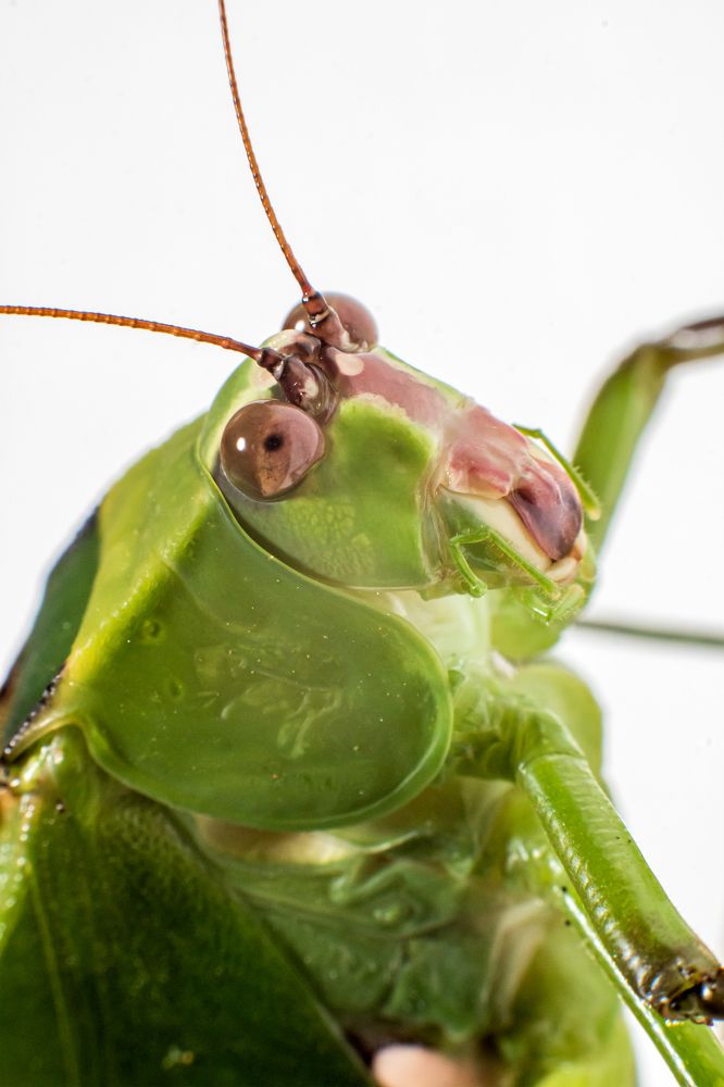 Photograph by Marcos Emanuel